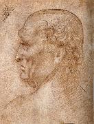 LEONARDO da Vinci Master of the Pala Sforzesca, profile of an old man Spain oil painting artist